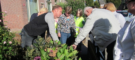 /af/uploads/c/1024x/e/d/burendag-oss-noord-west-plantjes.JPG
