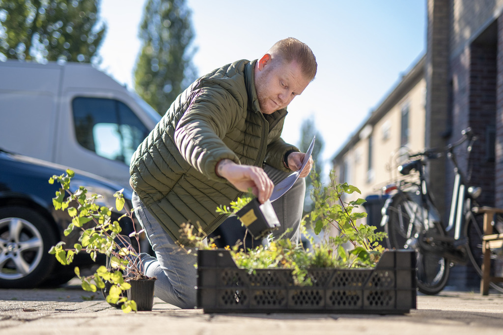 Geveltuin aanleggen