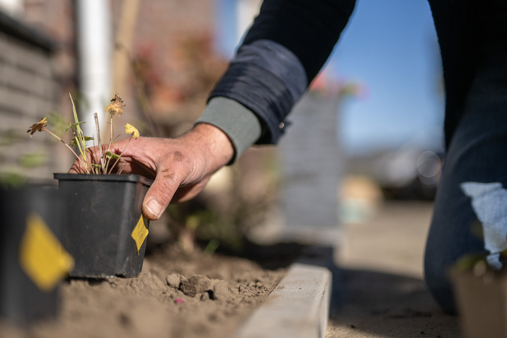 Geveltuin aanleggen