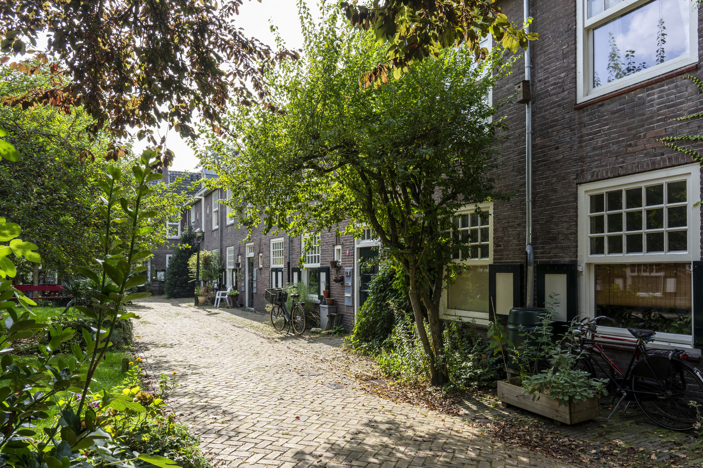 Wonen aan het St. Jacobshofje: ‘Hier kijken we écht naar elkaar om’