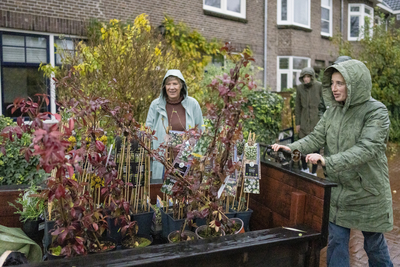 Groene Gevelkaravaan - Hans
