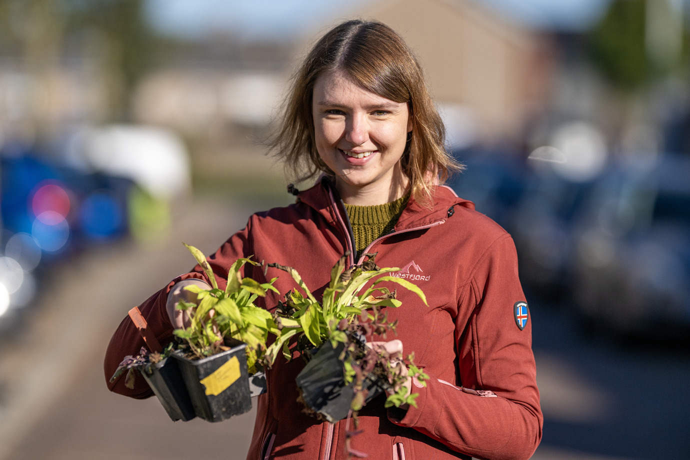 Aanplanten geveltuintjes Runstraat
