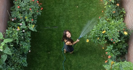 Eigenlijk heb ik nu gewoon een grote pluktuin