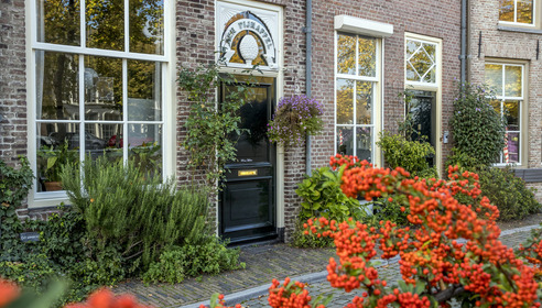 BrabantWonen en gemeente 's-Hertogenbosch geven 100 geveltuintjes weg! BrabantWonen en gemeente 's-Hertogenbosch geven 100 geveltuintjes weg!