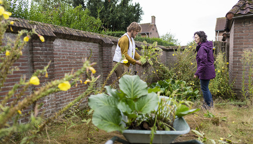 Struikroven redt achtergebleven groen