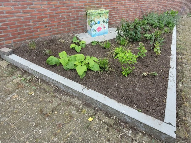 Een kunstig stroomkastje in de Berkenstraat