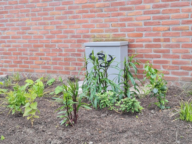 Een kunstig stroomkastje in de Berkenstraat