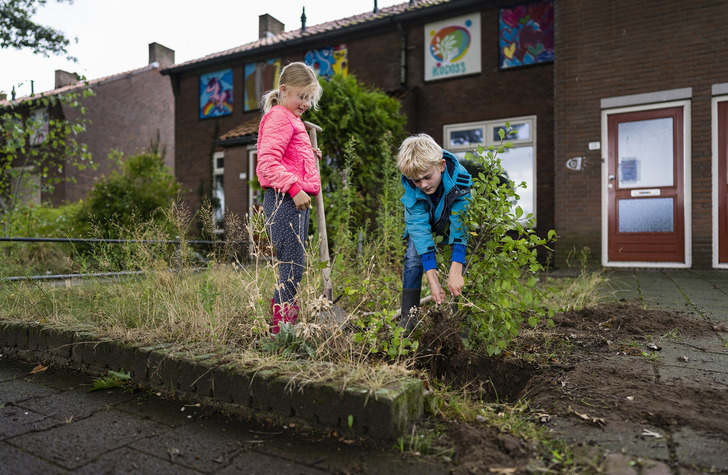 Struikroven redt achtergebleven groen