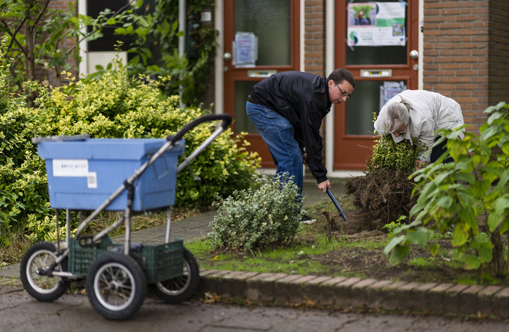 Struikroven redt achtergebleven groen
