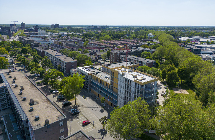 Voortgang Boschveld: Helio en Nicolaas