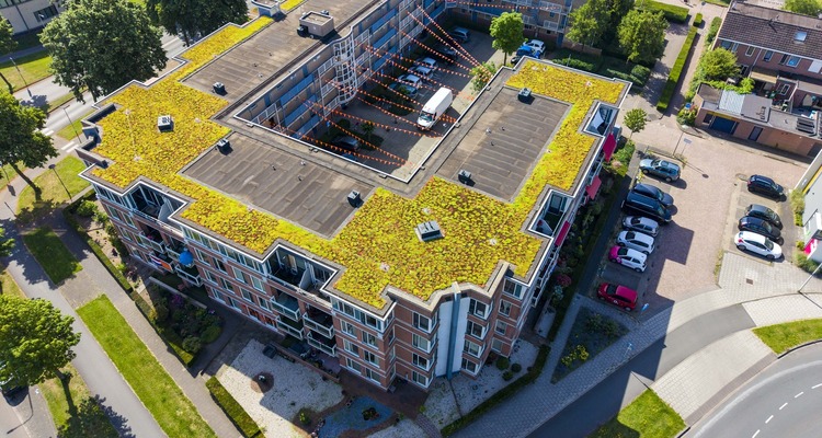 Gebouw met een groen sedum dak