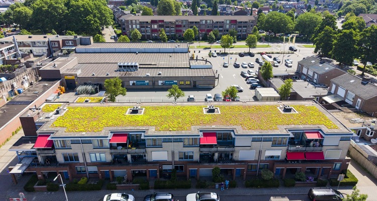Gebouw met een groen sedum dak