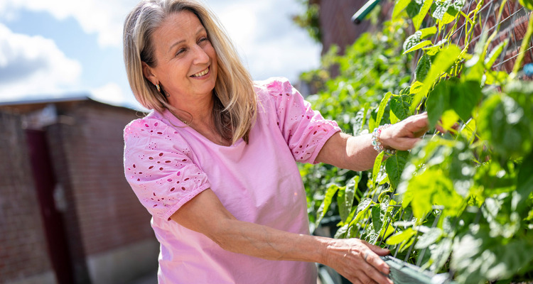 Buren delen moestuin: 'Er is genoeg voor iedereen' Buren delen moestuin: 'Er is genoeg voor iedereen'