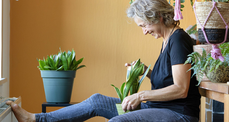 Dame op een stoel verzorgt planten