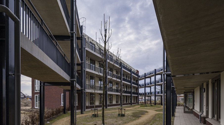 een binnenplaats met bomen erin