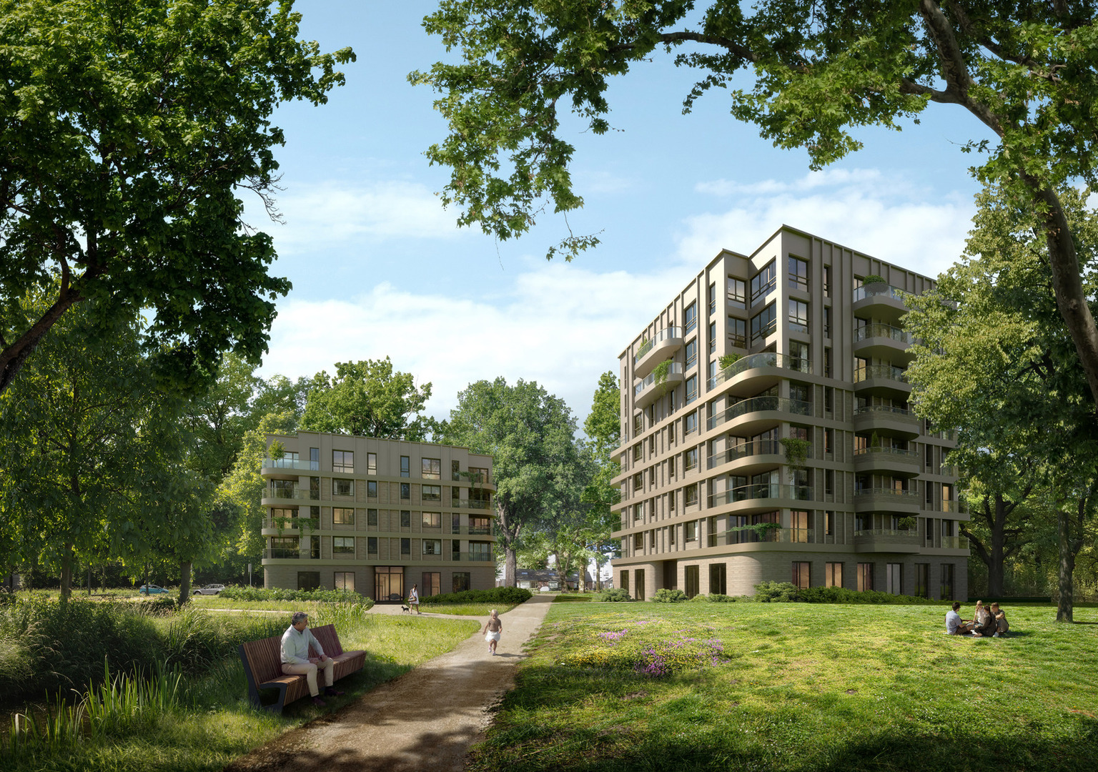 Ontwerp Coornhertstraat