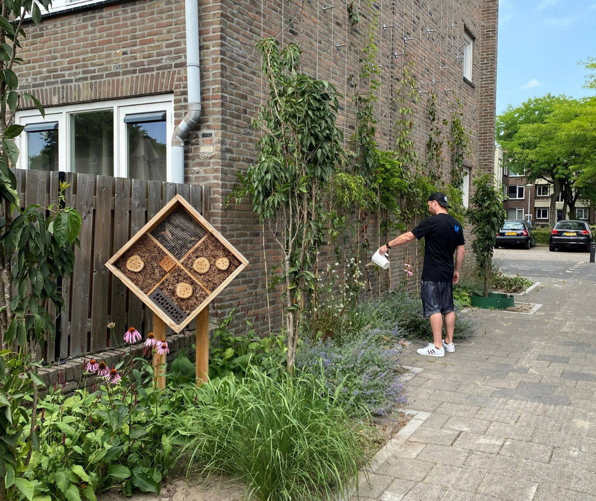 Geveltuin 
