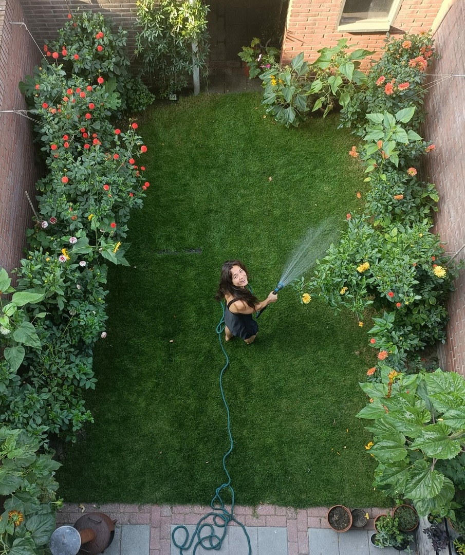Eigenlijk heb ik nu gewoon een grote pluktuin