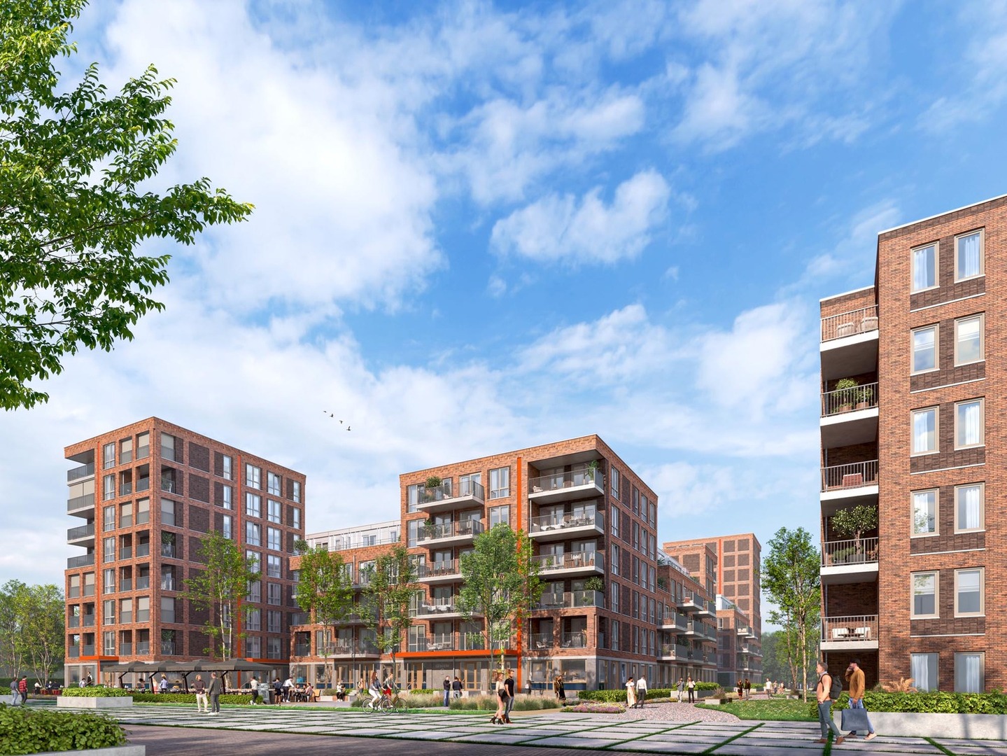 Ontwerp Rosso