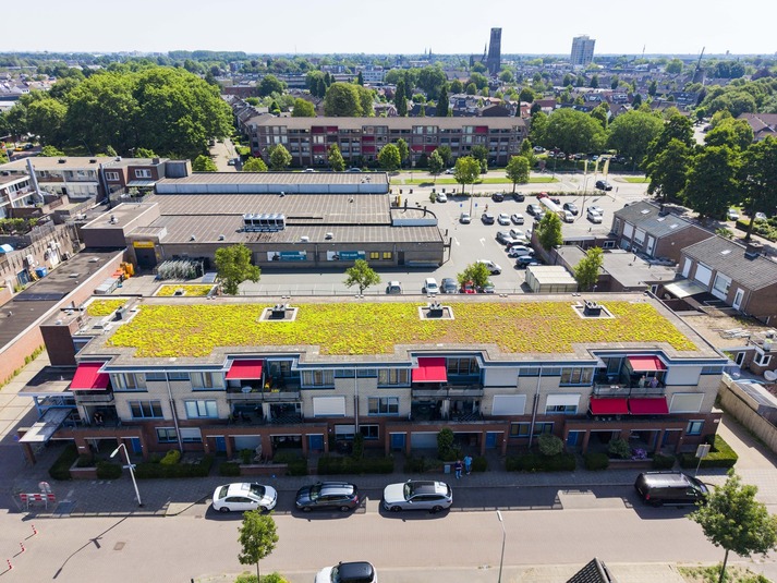 Gebouw met een groen sedum dak
