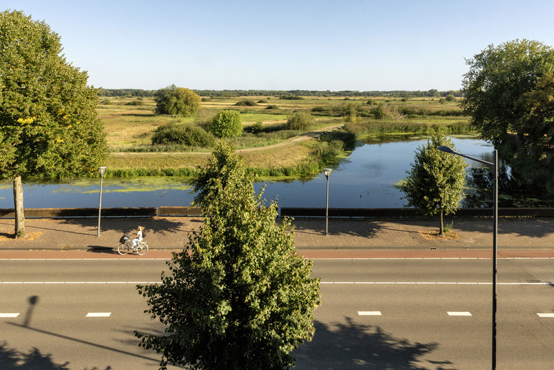 Natuurgebied Het Bossche Broek