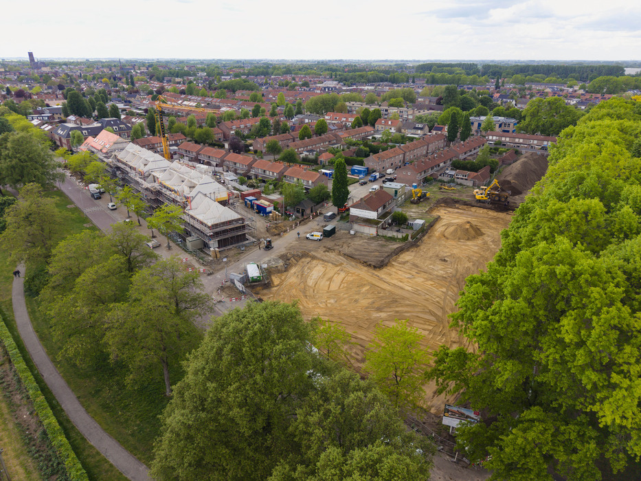 bomen en woningen